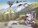 06 - Rabais / dessin aquarellé - Dessins
